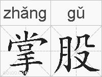 掌股的拼音