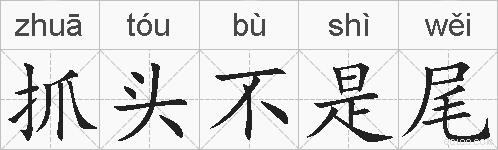 抓头不是尾的拼音