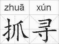 抓寻的拼音
