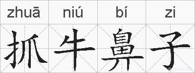 抓牛鼻子的拼音