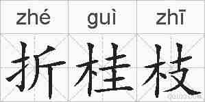 折桂枝的拼音