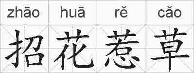 招花惹草的拼音