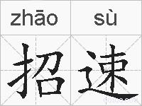 招速的拼音