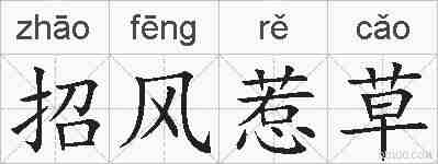 招风惹草的拼音