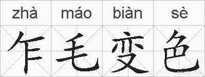 乍毛变色的拼音