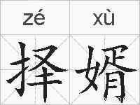 择婿的拼音