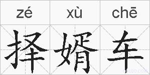 择婿车的拼音