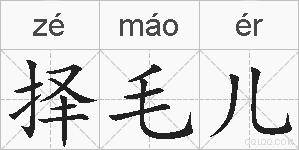 择毛儿的拼音