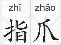 指爪的拼音