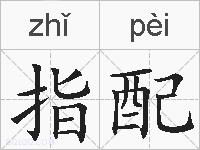 指配的拼音