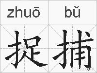 捉捕的拼音