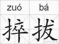 捽拔的拼音