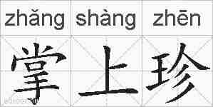 掌上珍的拼音