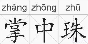 掌中珠的拼音