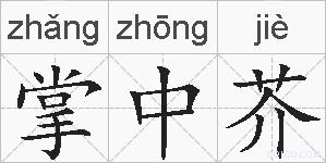 掌中芥的拼音