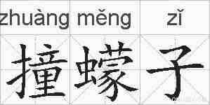 撞蠓子的拼音