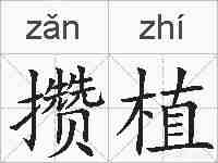 攒植的拼音