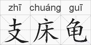 支床龟的拼音