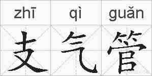 支气管的拼音