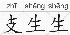 支生生的拼音