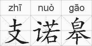 支诺皋的拼音