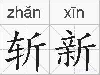 斩新的拼音
