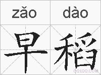 早稻的拼音