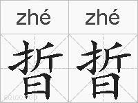 晢晢的拼音