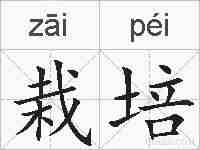 栽培的拼音