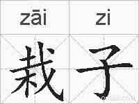 栽子的拼音
