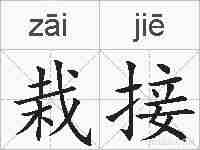 栽接的拼音