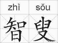 智叟的拼音