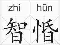 智惛的拼音