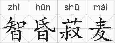 智昏菽麦的拼音
