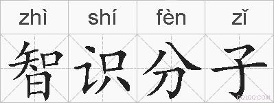 智识分子的拼音