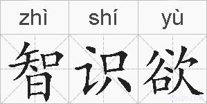 智识欲的拼音