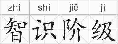 智识阶级的拼音