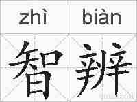 智辨的拼音