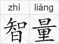 智量的拼音