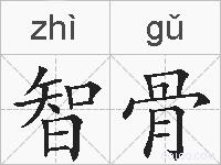 智骨的拼音