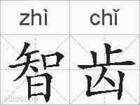 智齿的拼音