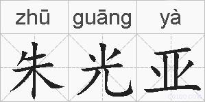 朱光亚的拼音