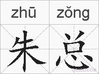 朱总的拼音