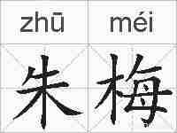 朱梅的拼音