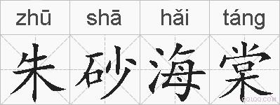 朱砂海棠的拼音