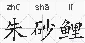 朱砂鲤的拼音