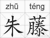 朱藤的拼音