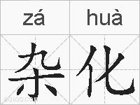 杂化的拼音