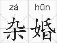 杂婚的拼音
