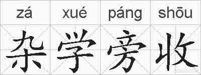 杂学旁收的拼音